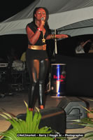 DSC_6564.jpg (73,829 bytes)